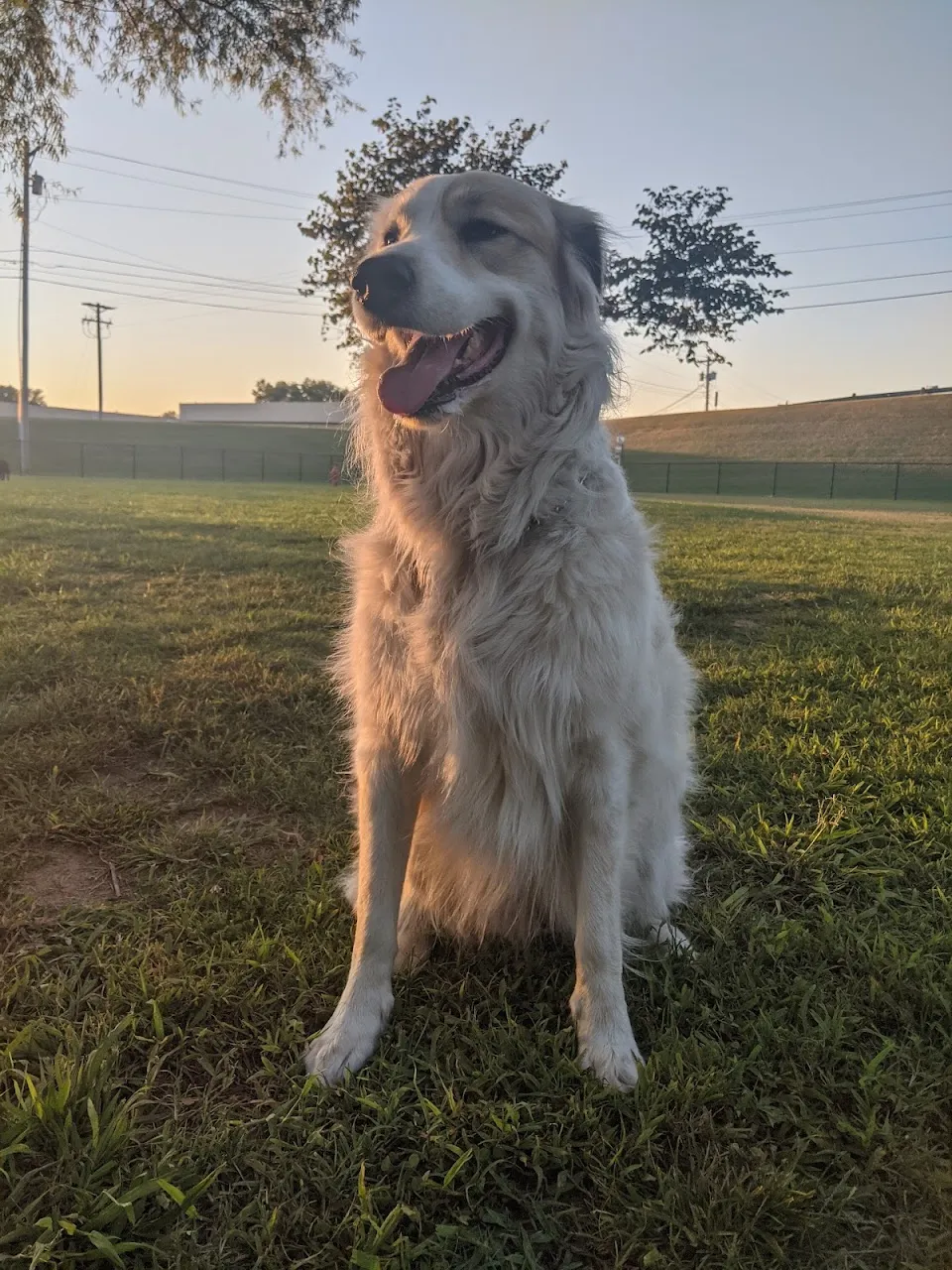 Tahlequah Tails Dog Park