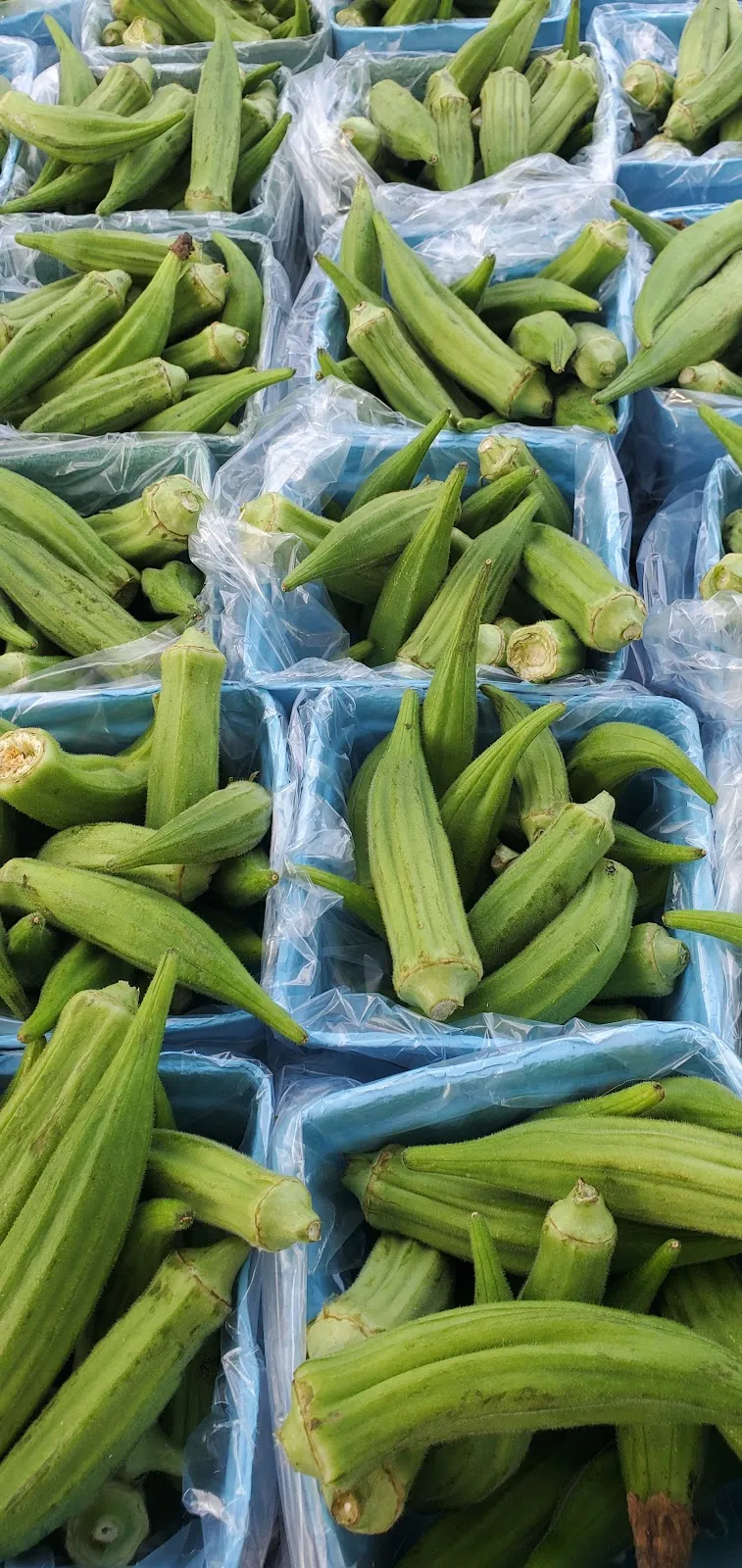 Waleska Farmers Market