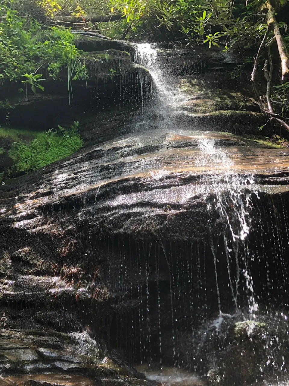 Bartram Trail - Trailhead State Line