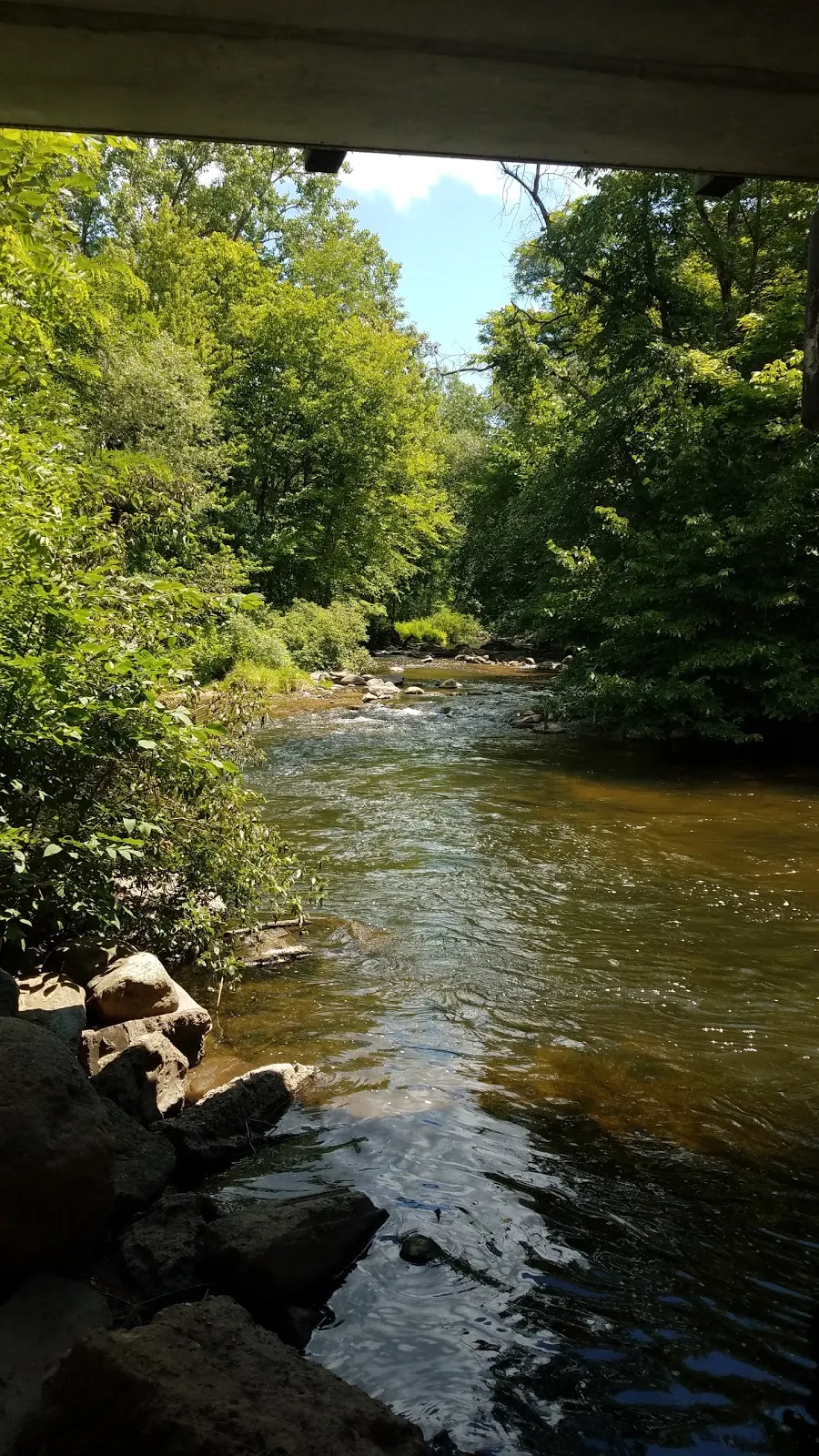 Friends Of The White Pine Trail