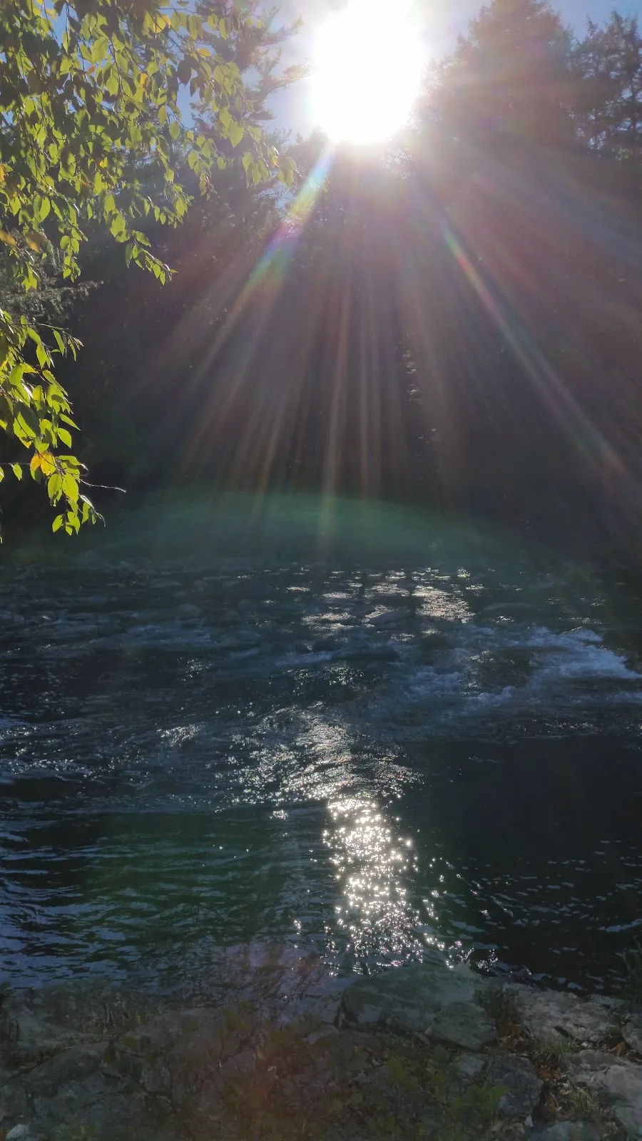 Oakland Valley Campground