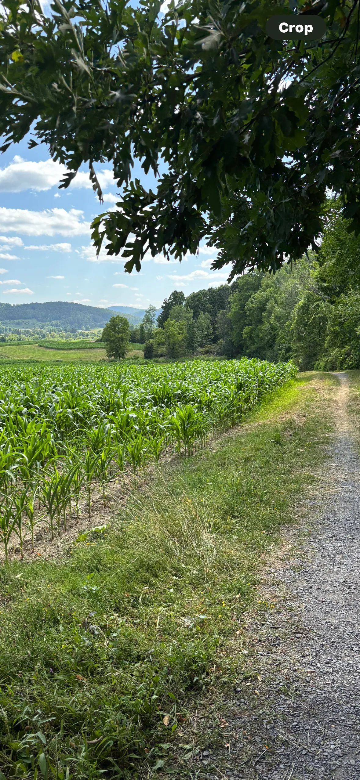 Cobleskill Creek Trail