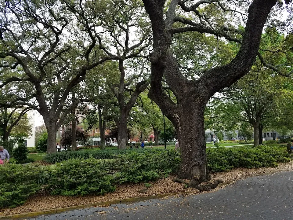 Telfair Square