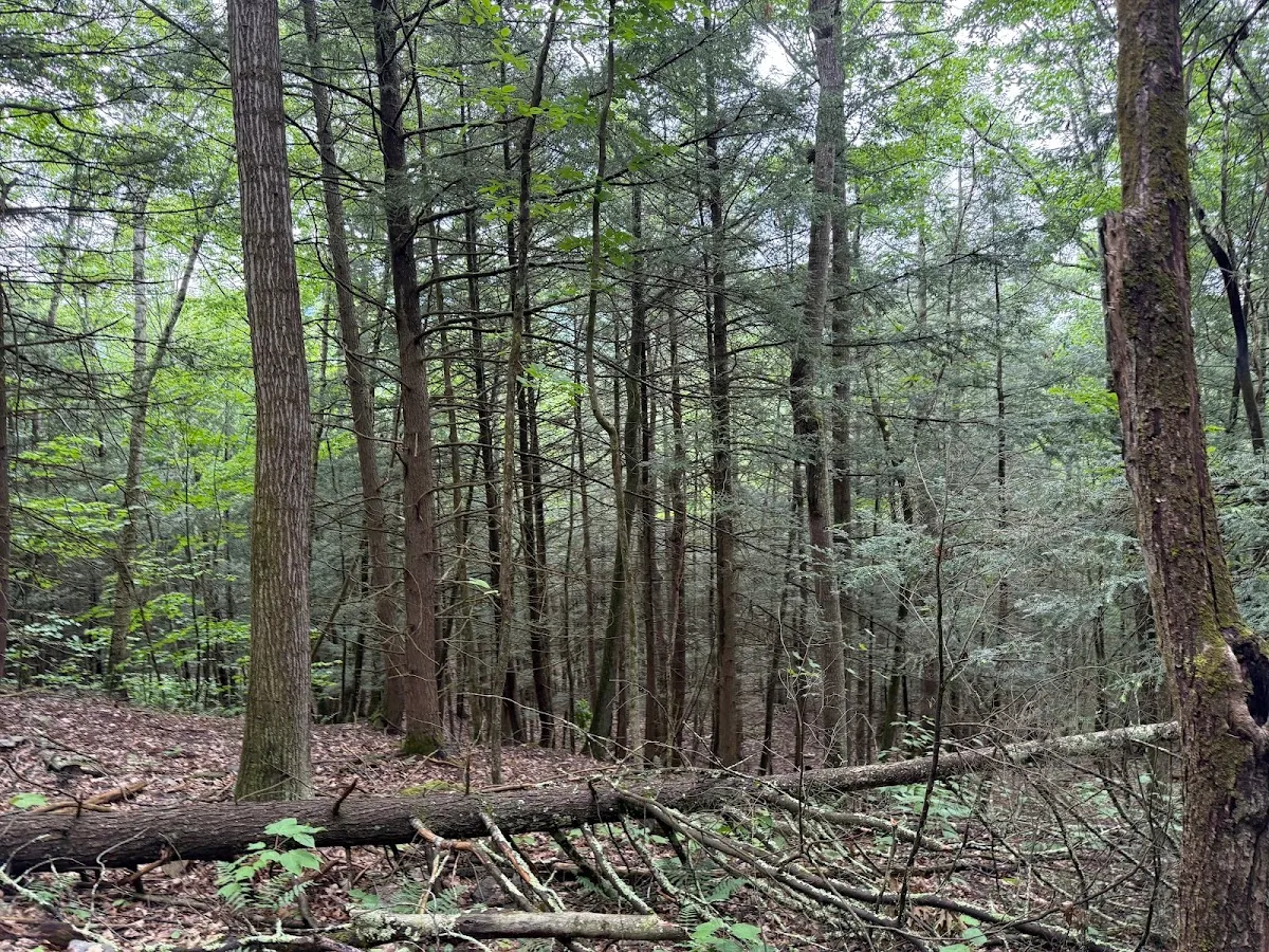 Vroman's Nose Hiking Trail