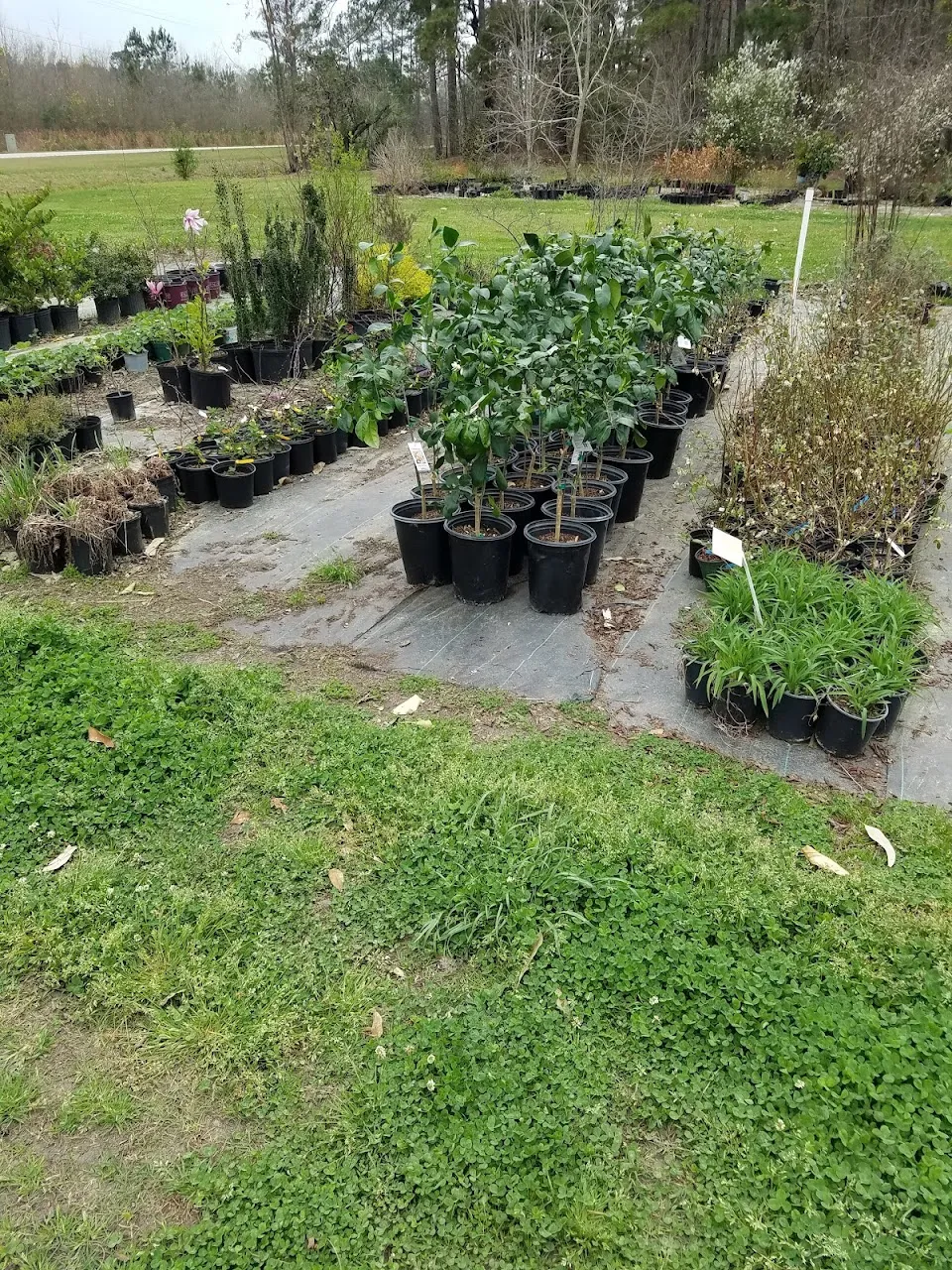 McKenzie Farms