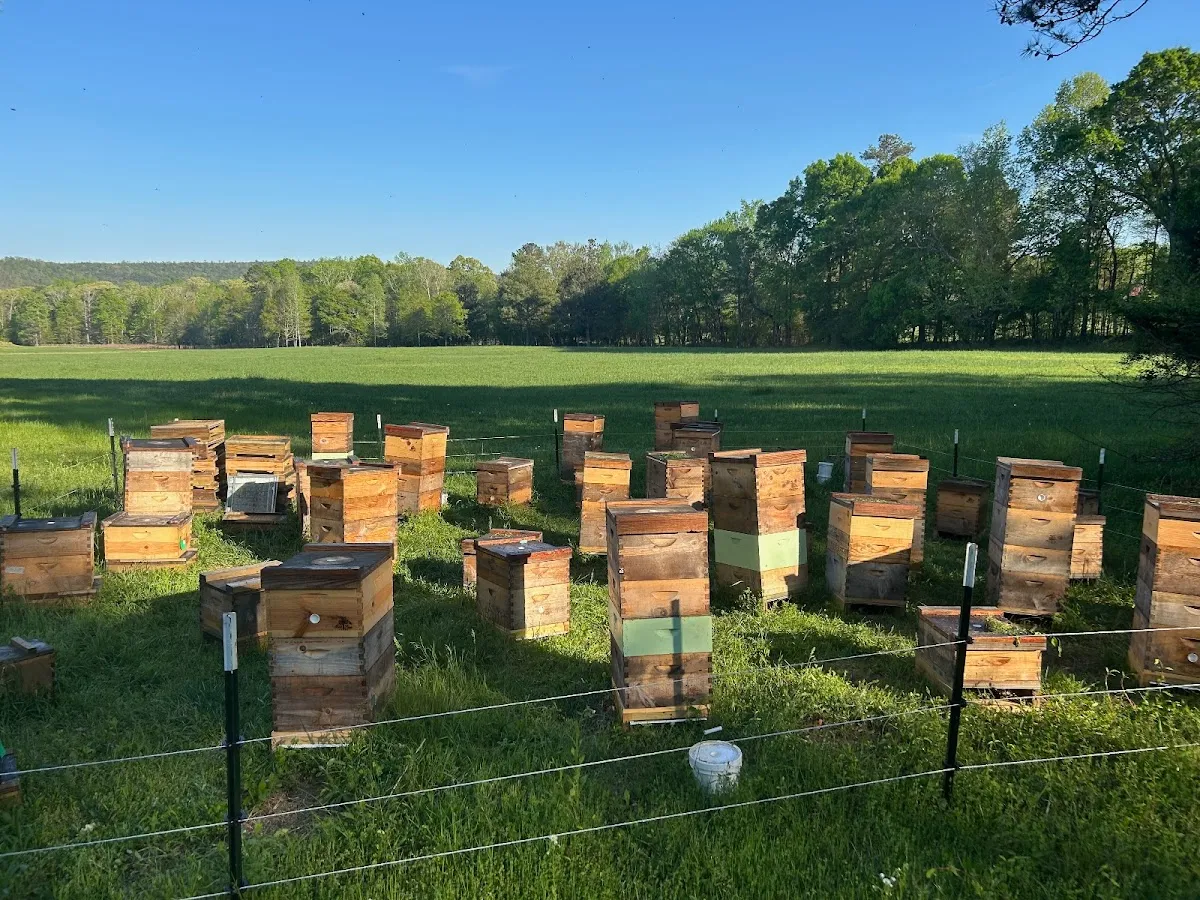 Bee Tree Farms - Canton