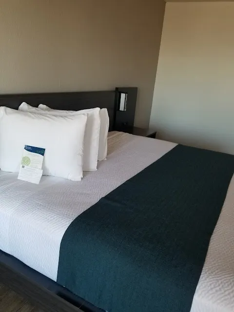 SureStay by Best Western Groves
