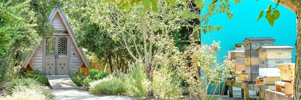 Savannah Bee Company Showroom and Bee Garden