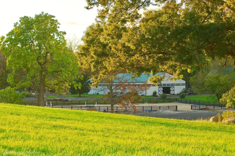 Trestle Valley Equestrian