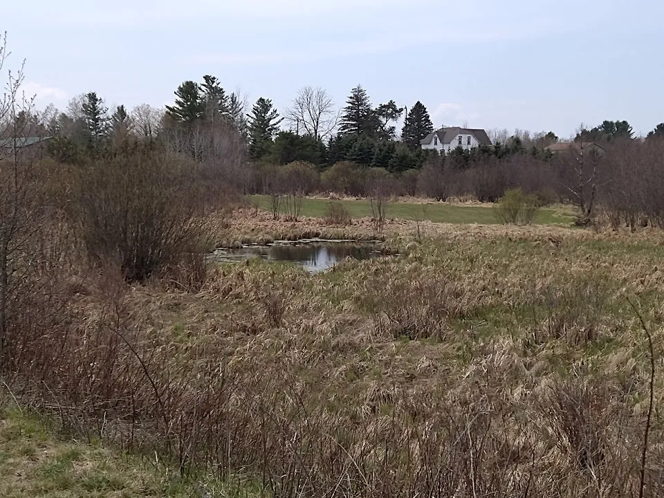 White Pine Trail Parking - Cadillac