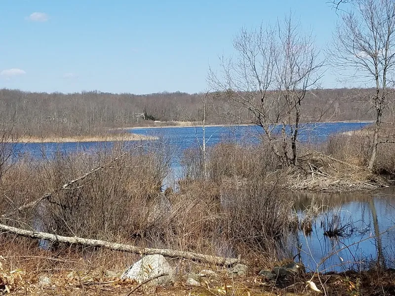 Binnewater Pond