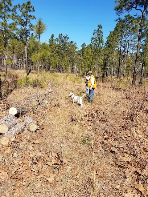 Spring Grove Shooting Preserve