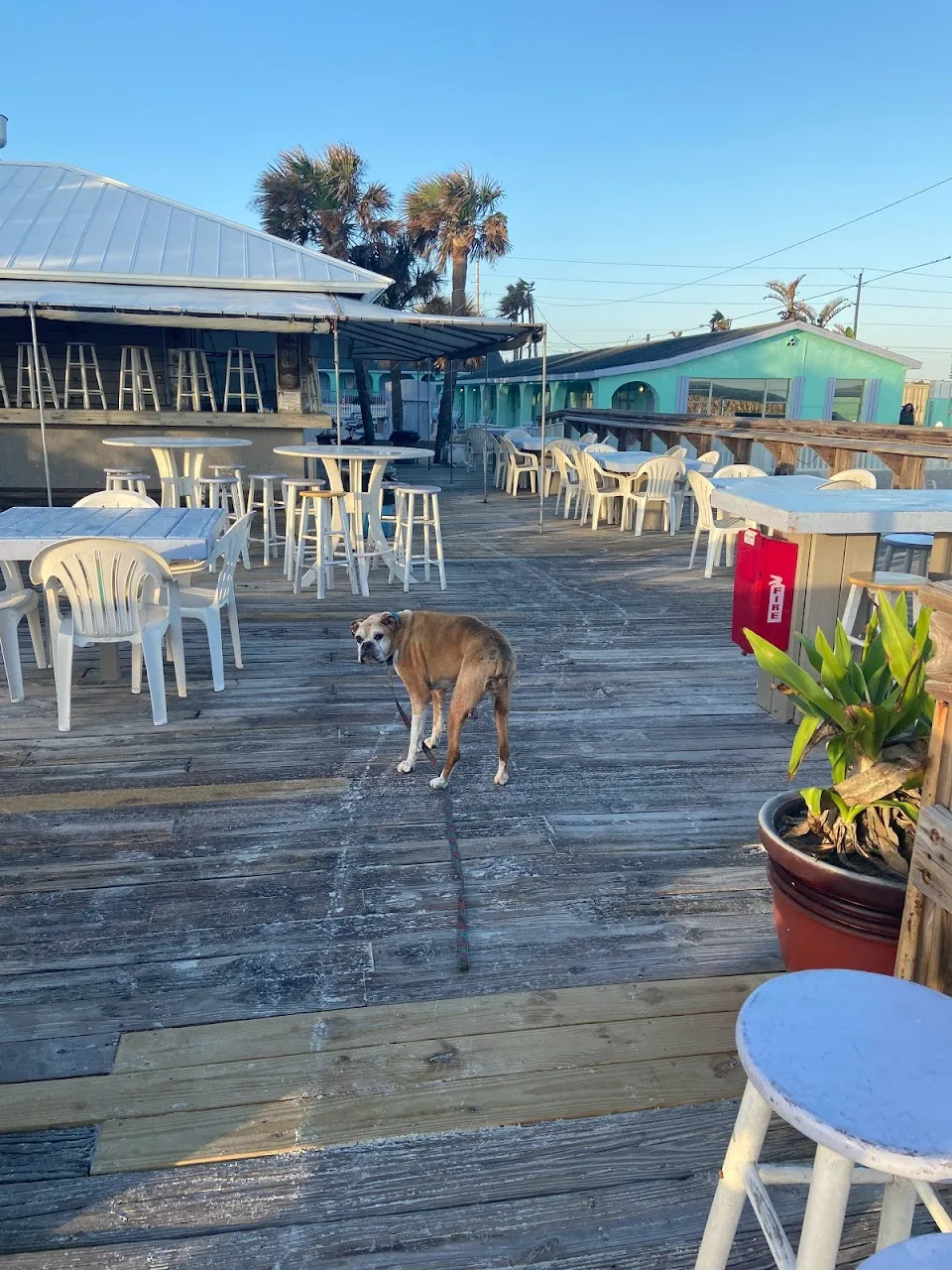Sea Vista Motel & Tiki Bar