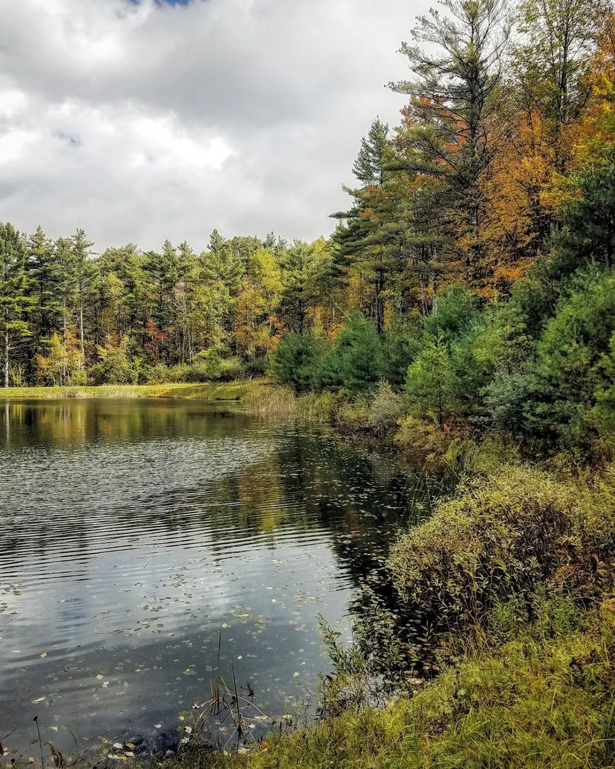 Sullivan County's Unity Mountain Trail