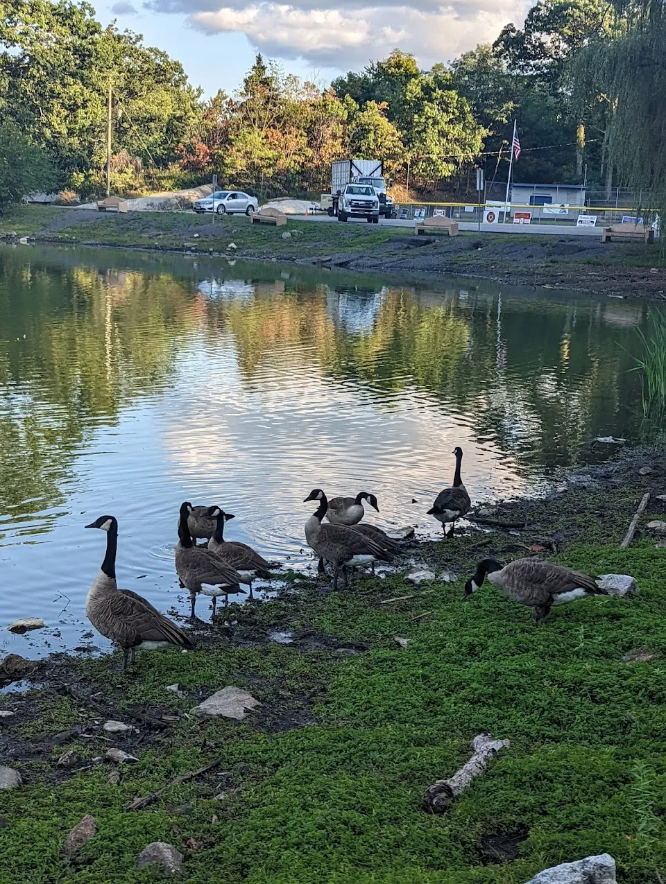 Roe Park