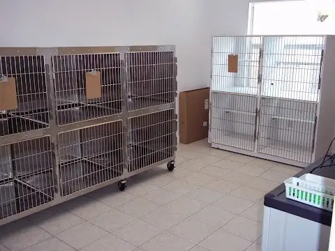 VCA Edgewater Shores Animal Hospital