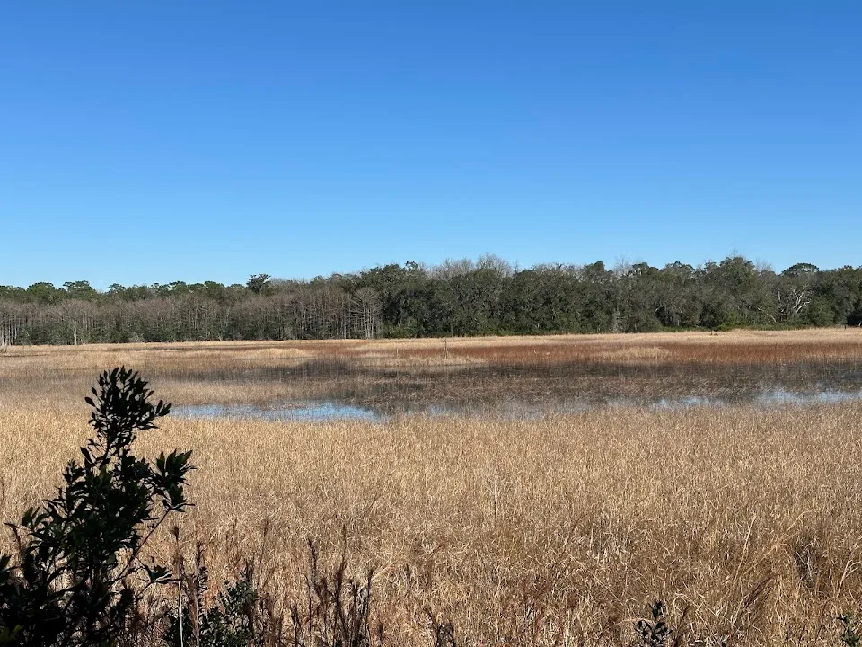 Chinsegut Wildlife and Environmental Area (WEA)