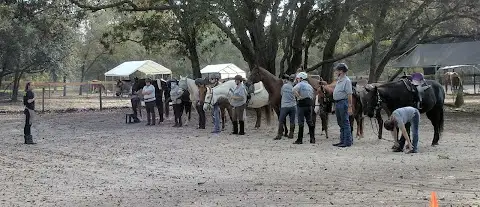 Southern Skies Ranch