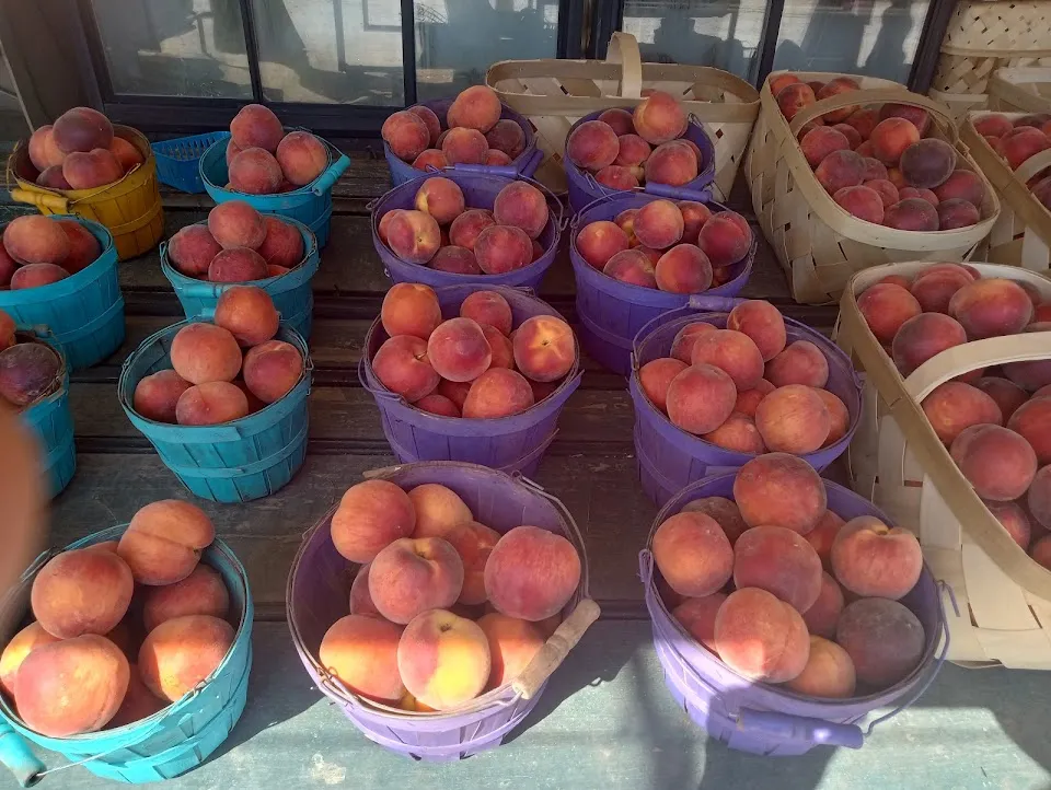 Edwards Produce