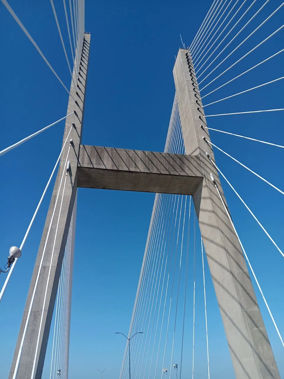 Talmadge Memorial Bridge