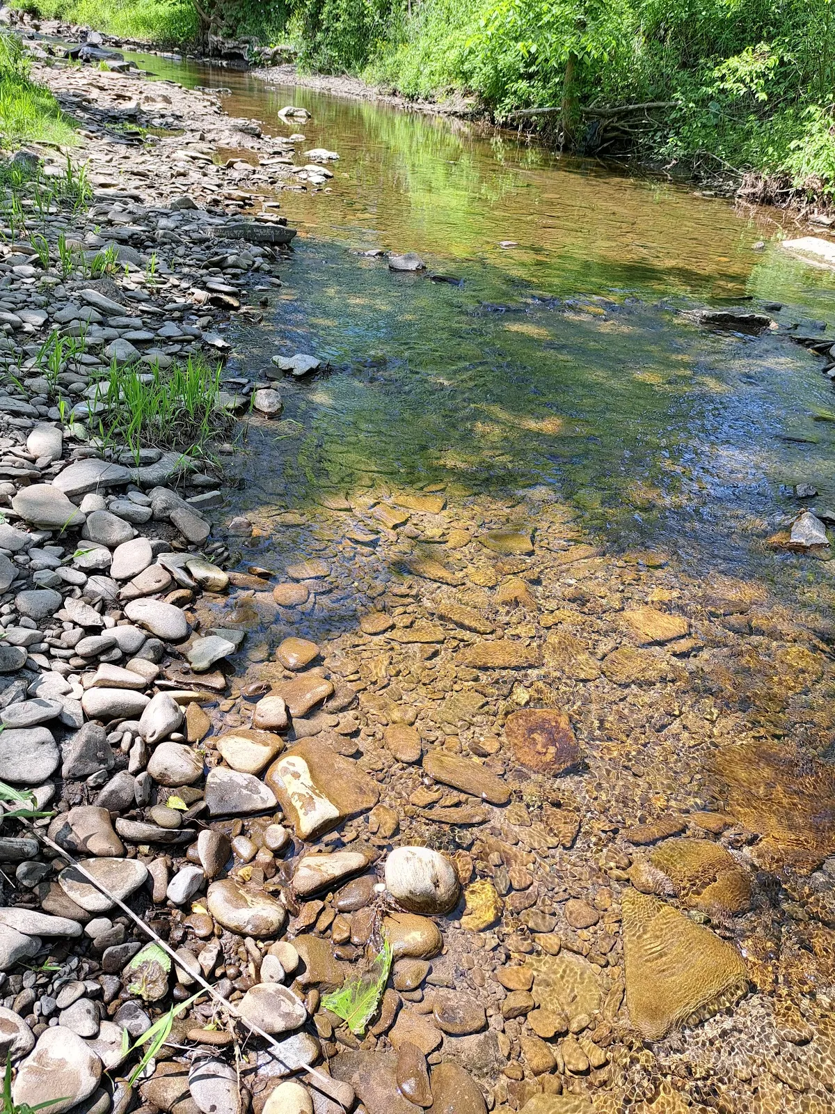 Schoharie Creek Fishing Access Point # 2