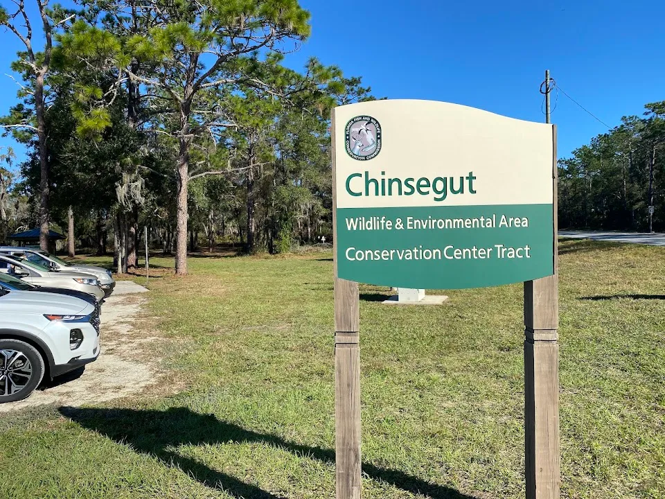 Chinsegut Wildlife and Environmental Area (WEA)