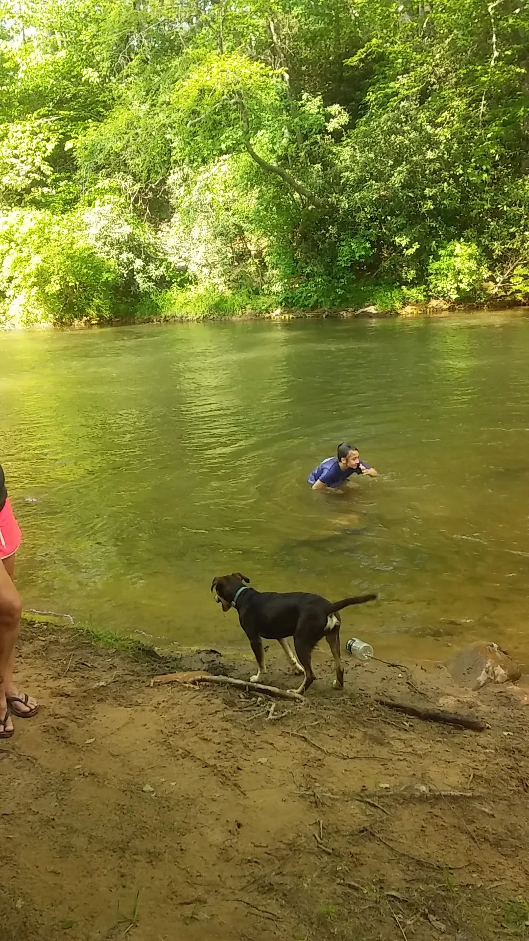 Flippin Farm On the Dan