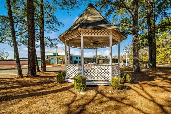 Clarion Inn & Suites Florence - Darlington