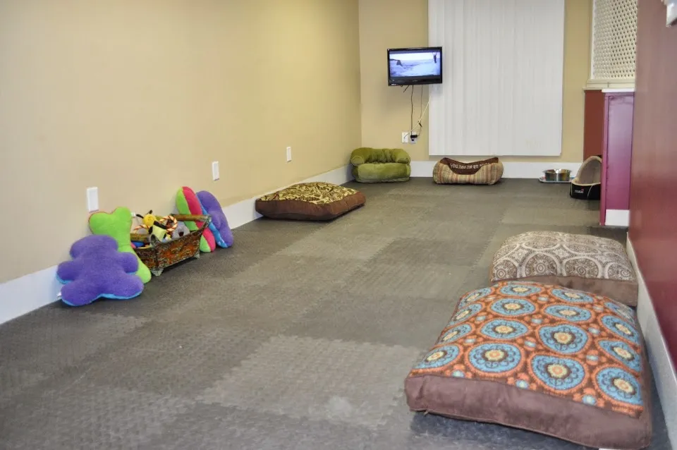 The Grooming Room Pet Resort