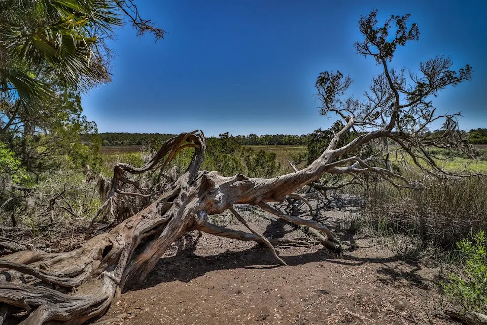 Wormsloe State Historic Site