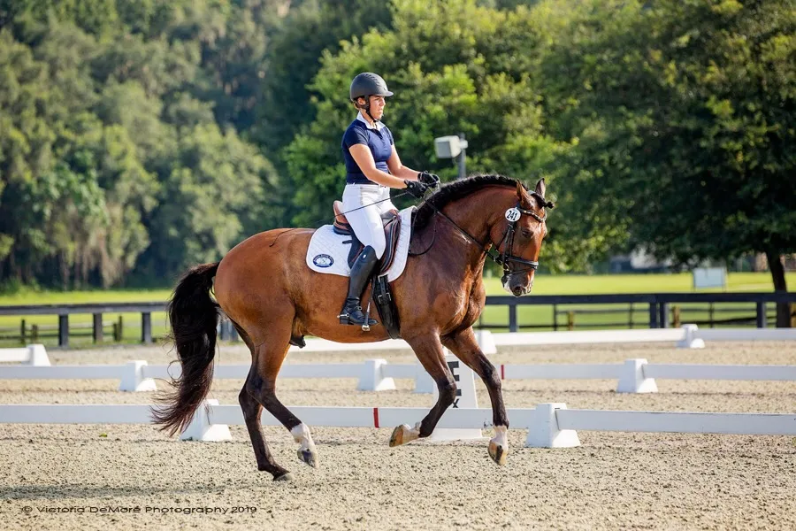Under The Oaks Equestrian Center