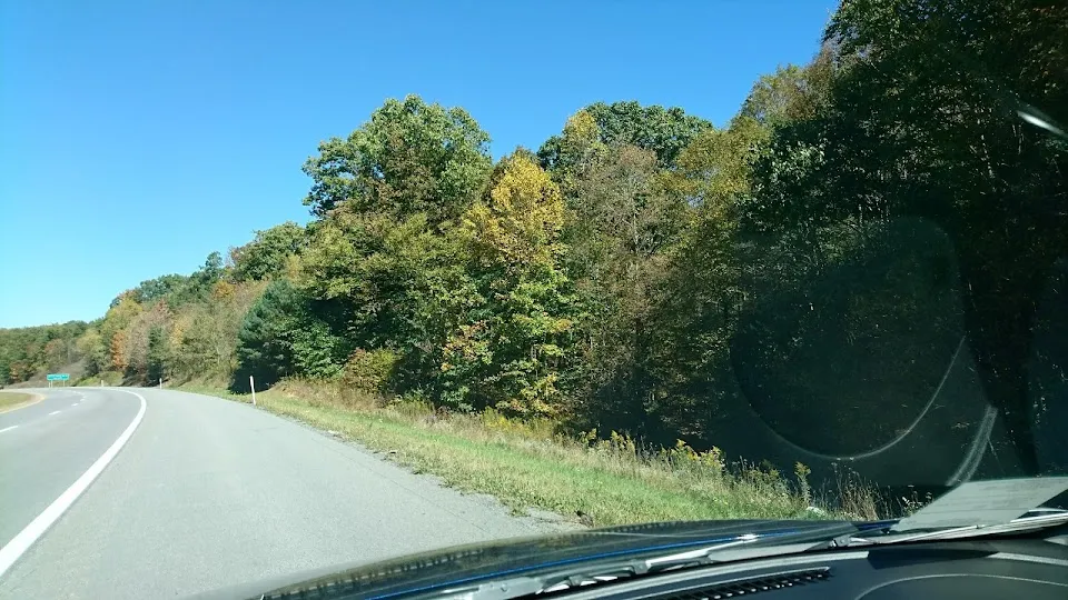 U.S. 460