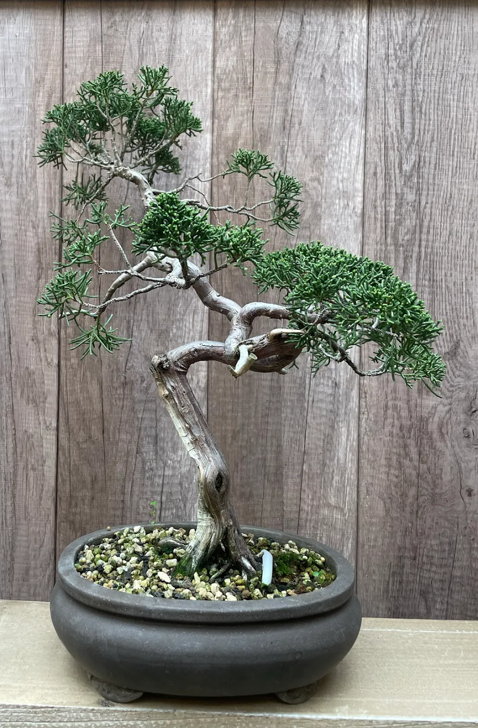 Growing Hobby
