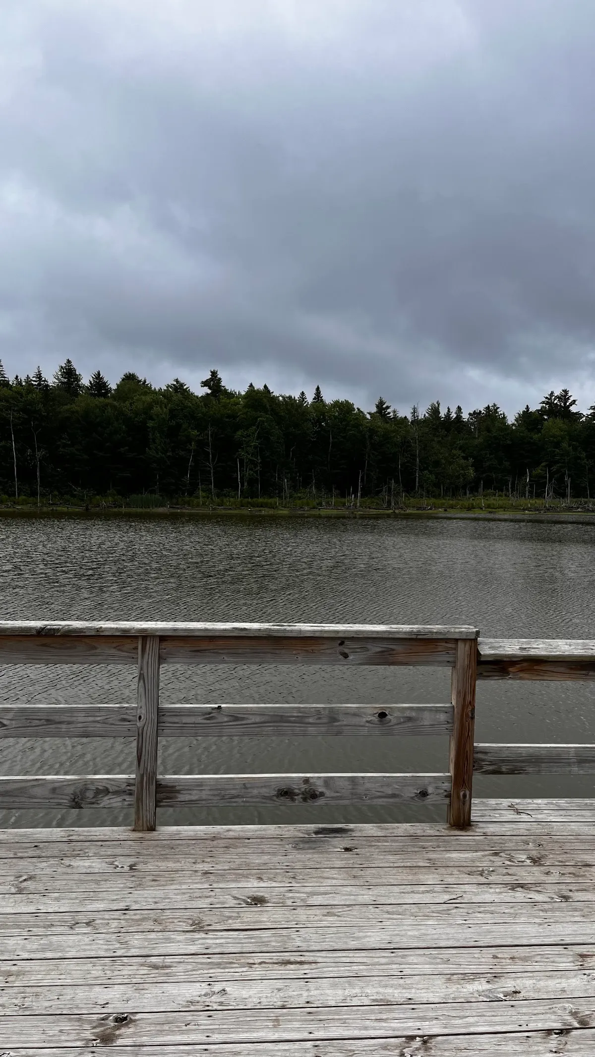 Looking Glass Pond