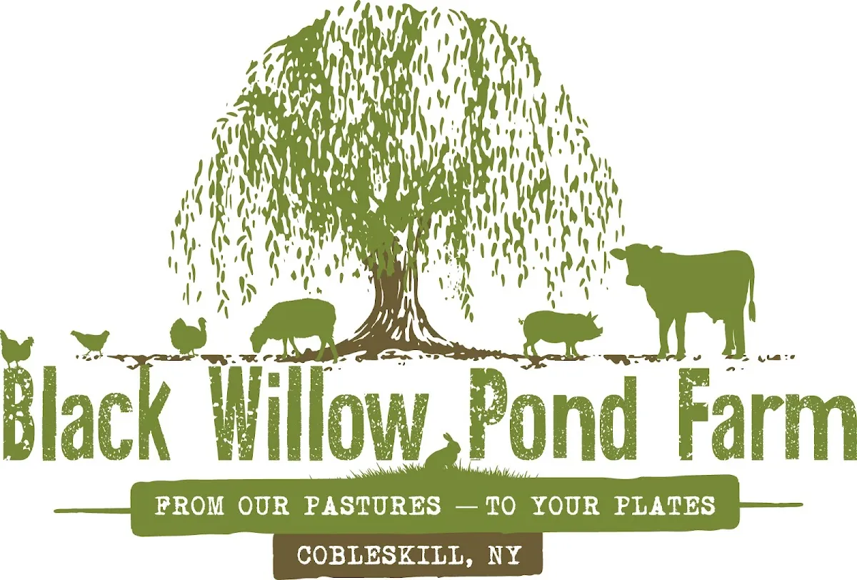 Black Willow Pond Farm