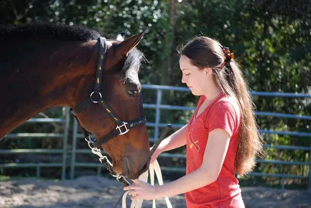 Sunset Riding Stables
