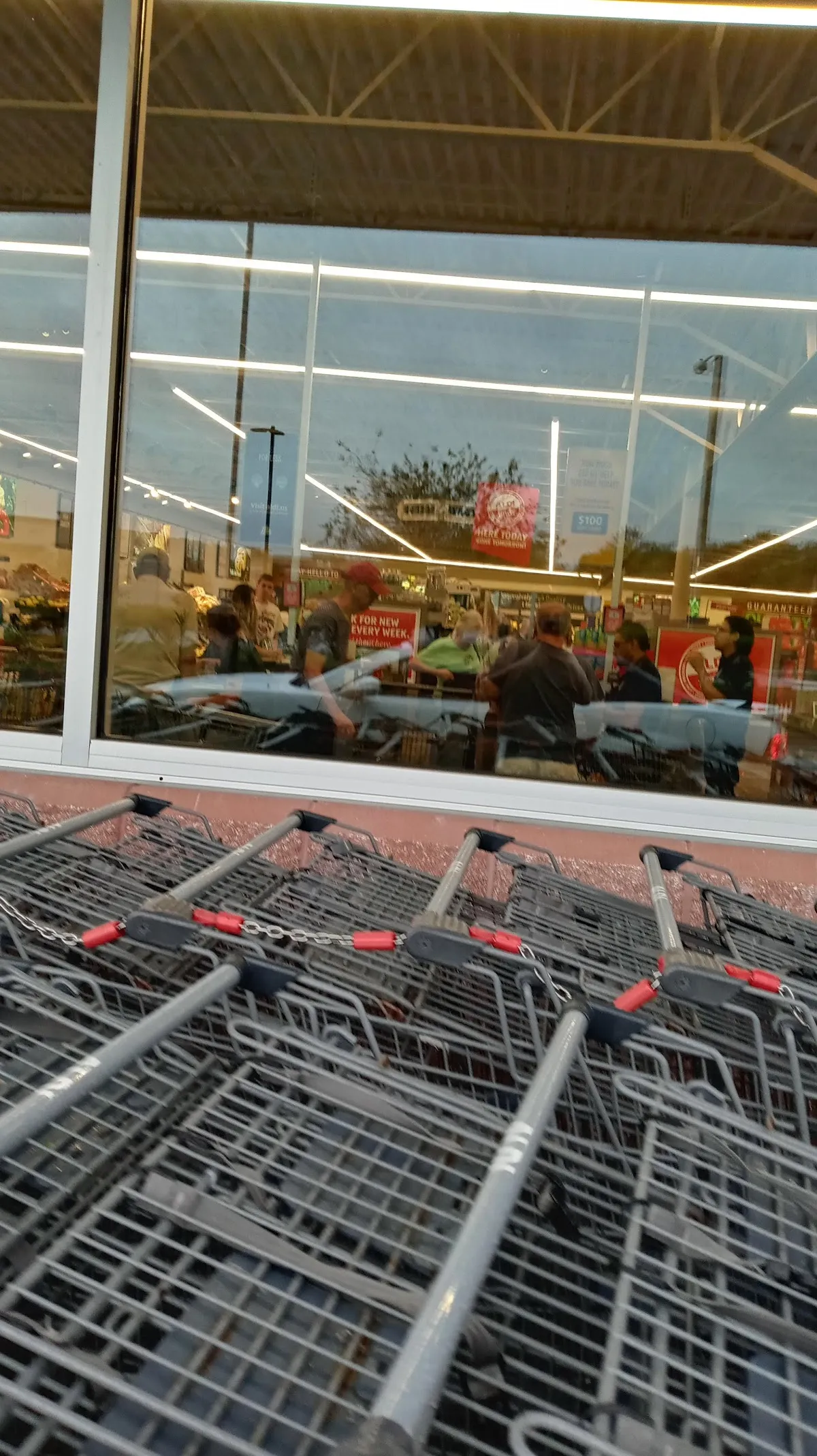 ALDI