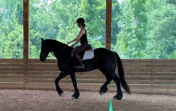 North Carolina Equestrian Center