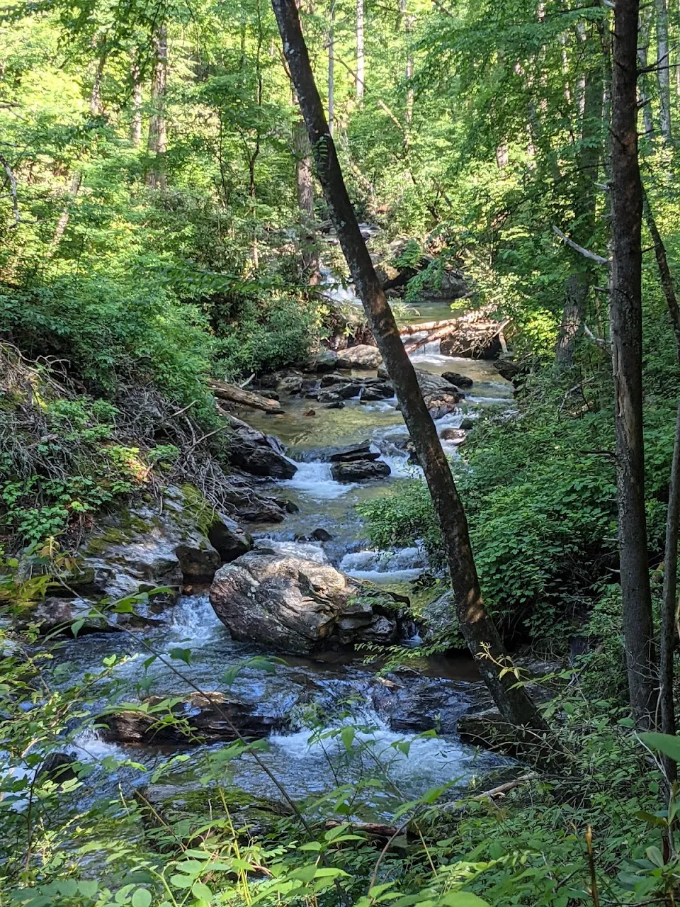 Coleman River Trail