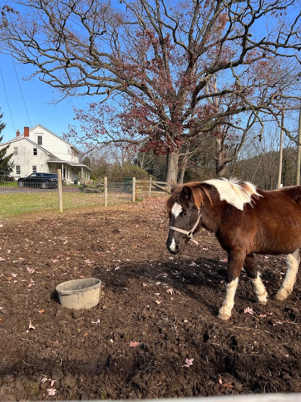 Brookfields Farm Of Goshen