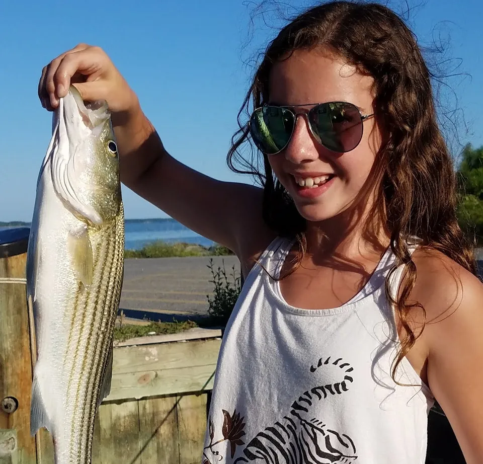 Screaming Eagle Charters