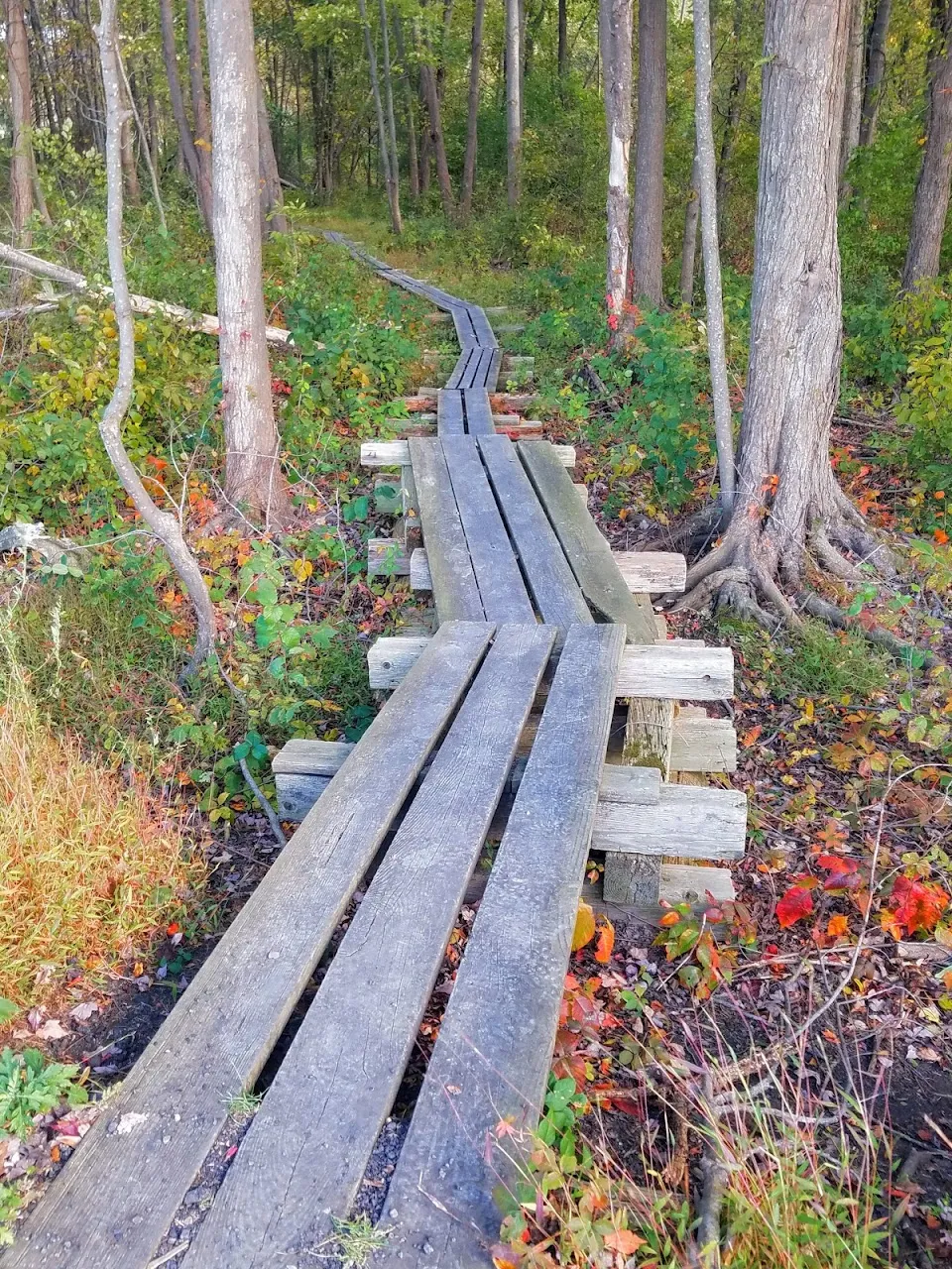 Liberty Loop Trail/Appalachian National Scenic Trail