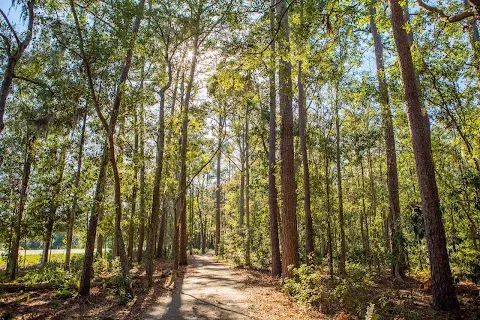 Whitemarsh Preserve