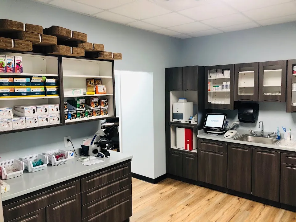Florence Animal Hospital