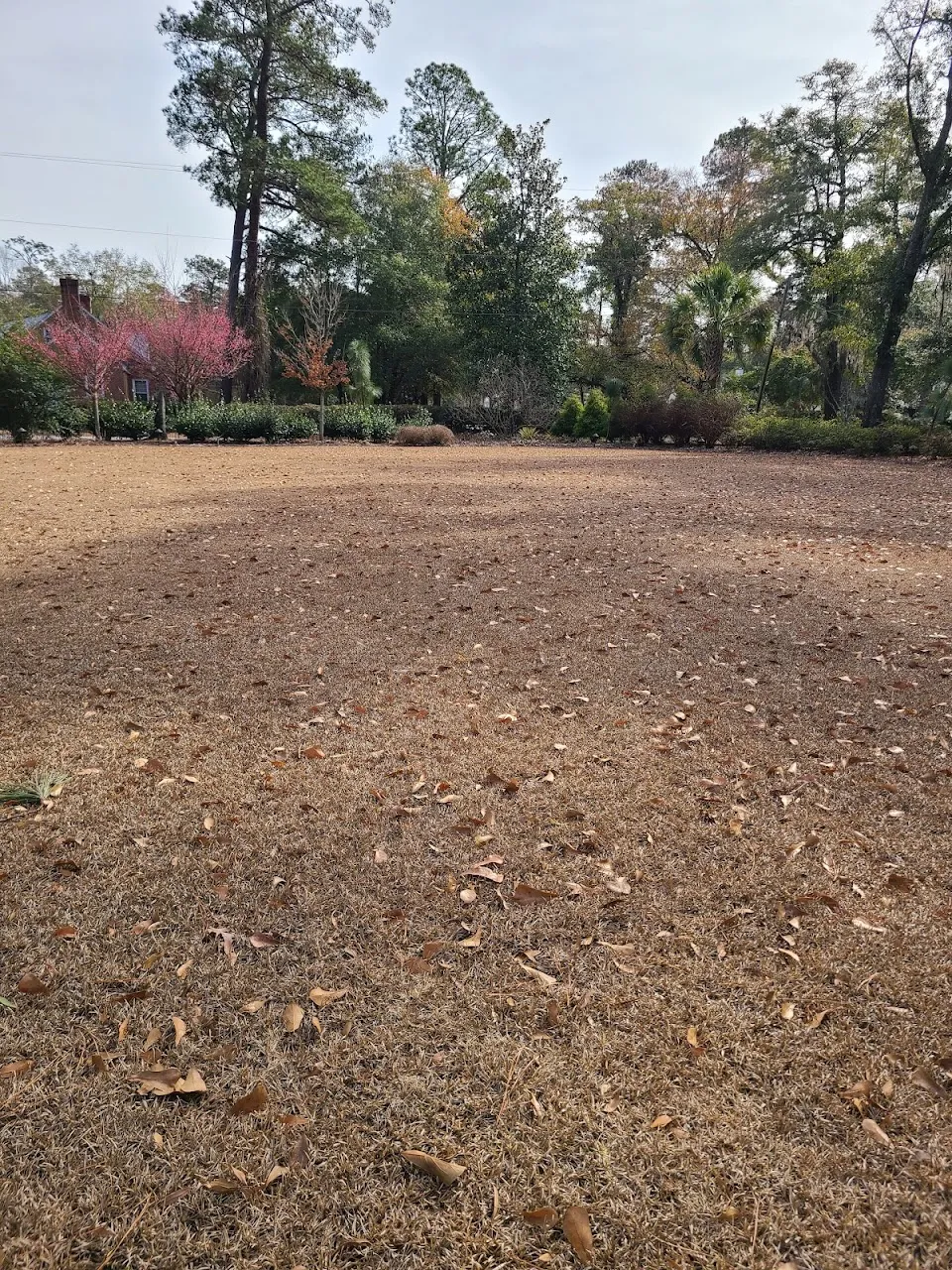 Marilyn's Garden