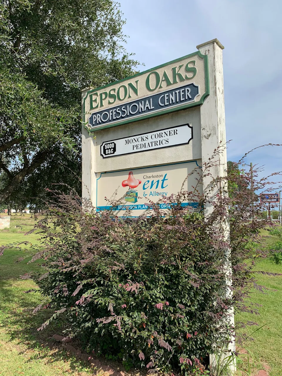 Charleston ENT & Allergy