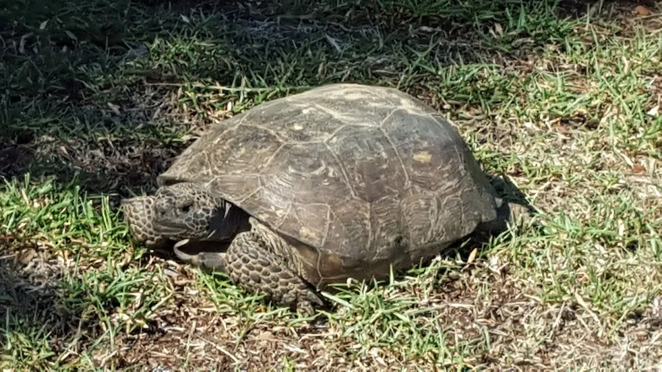 New Smyrna Beach Tennis Center
