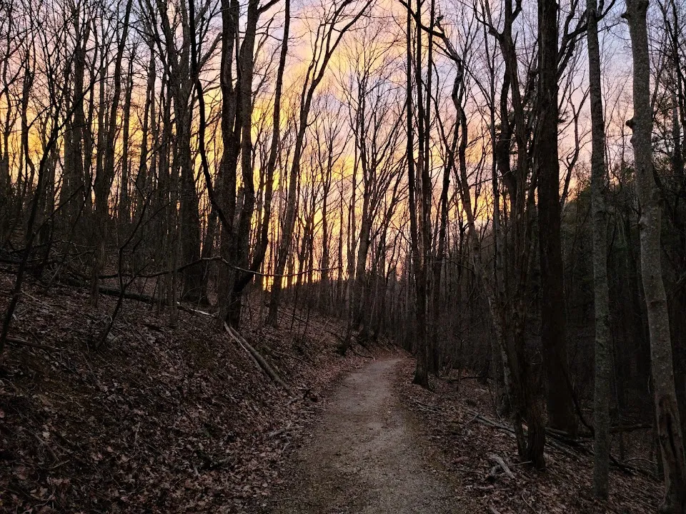 Bottom Creek Gorge Preserve