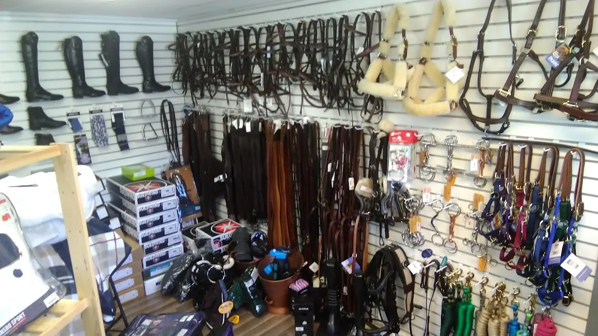 Argento Equestrian 2020