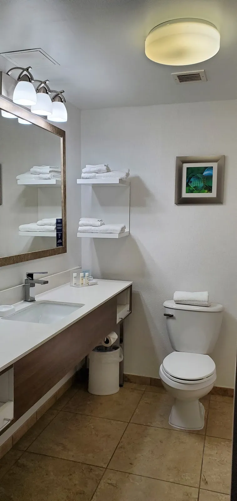 Hampton Inn Spring Hill